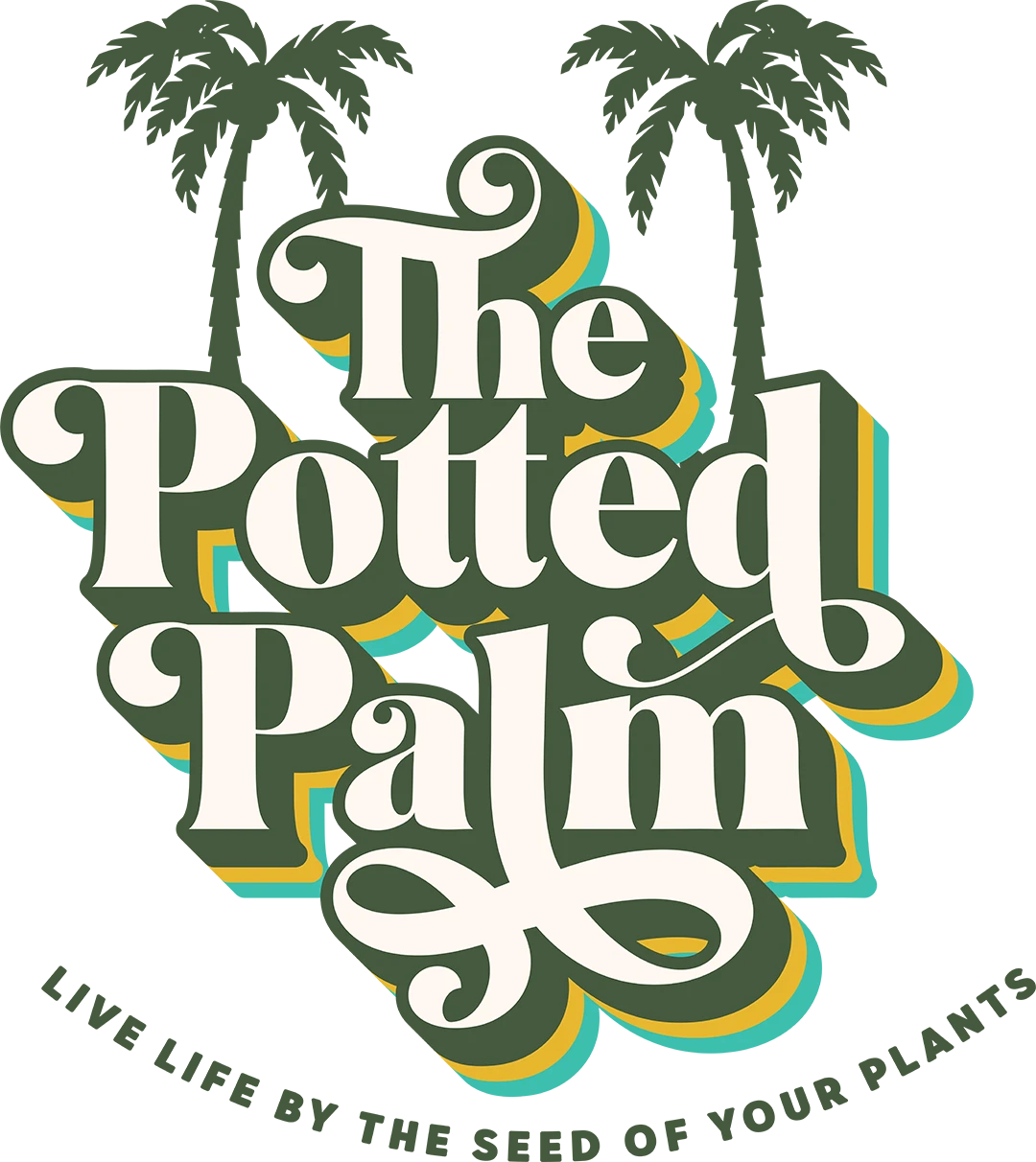 The Potted Palm